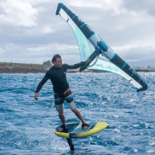 Action Effortless Flight